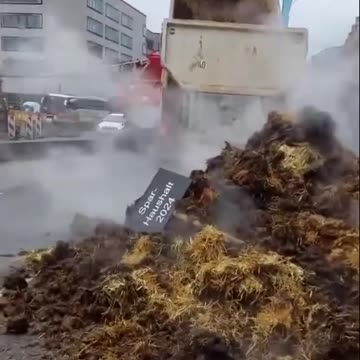 🇩🇪 Die Ampel muss weg! Stirbt der Bauer, stirbt das Land! Bauernproteste!