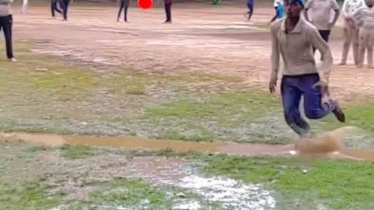Cricket