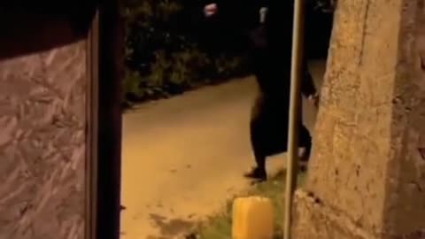 4 Horror videos