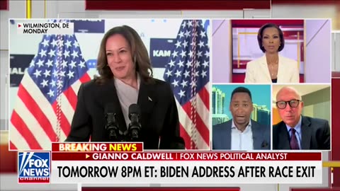 Former Clinton Adviser Says He Has 'Trouble With' How Dems Gave Harris 'Rubber Stamp'