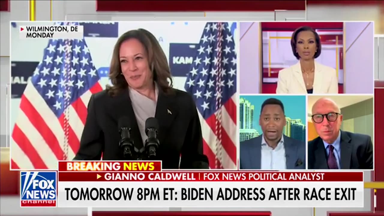 Former Clinton Adviser Says He Has 'Trouble With' How Dems Gave Harris 'Rubber Stamp'