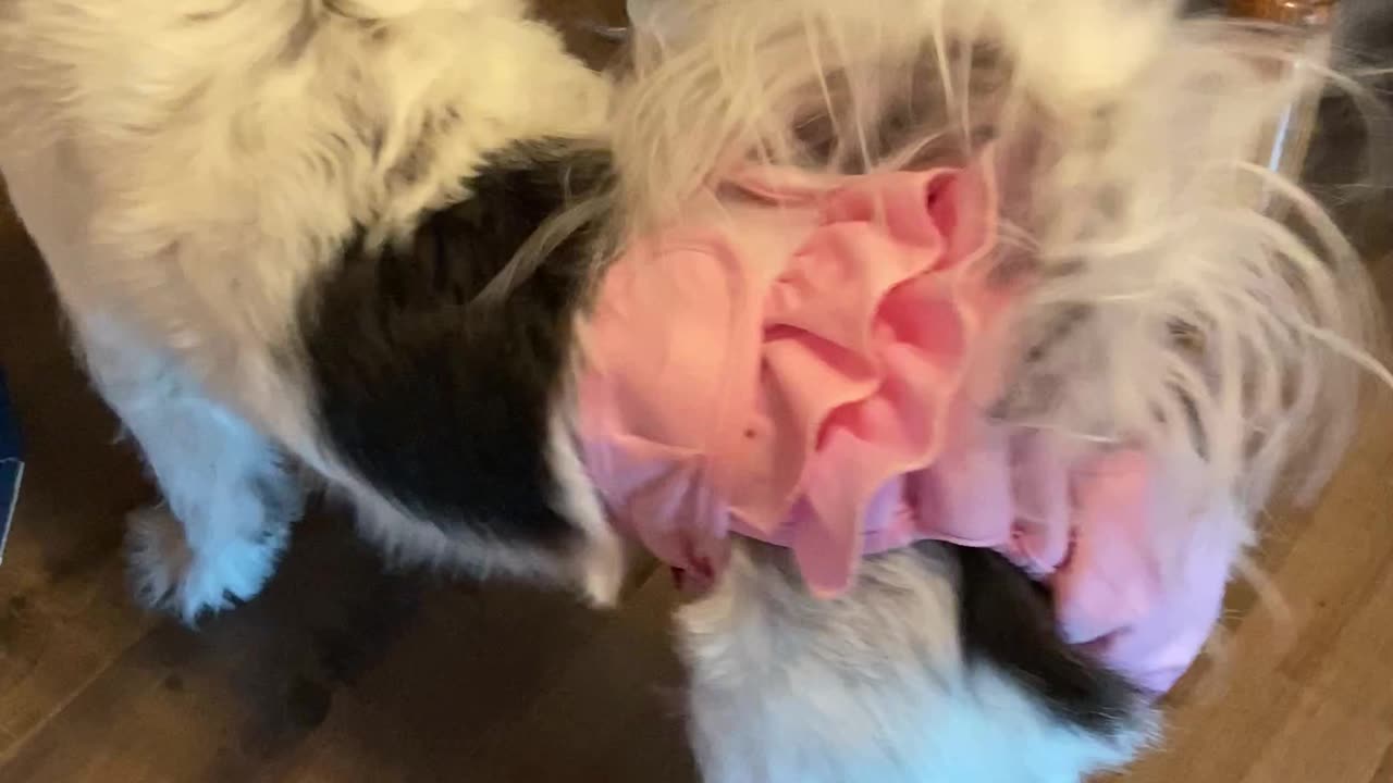 Pretty In Pink