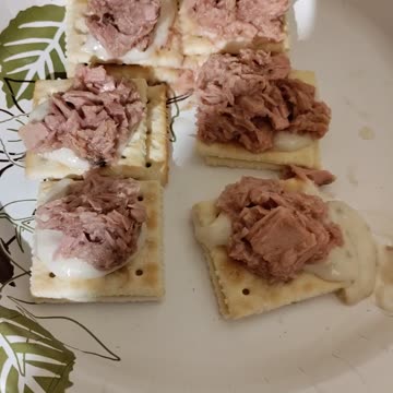 Eating Starkist Chunk Light Tuna, Dbn, MI, 10/15/23