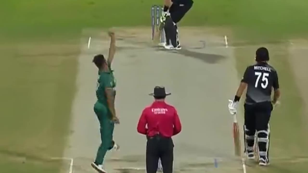 Pak vs nz