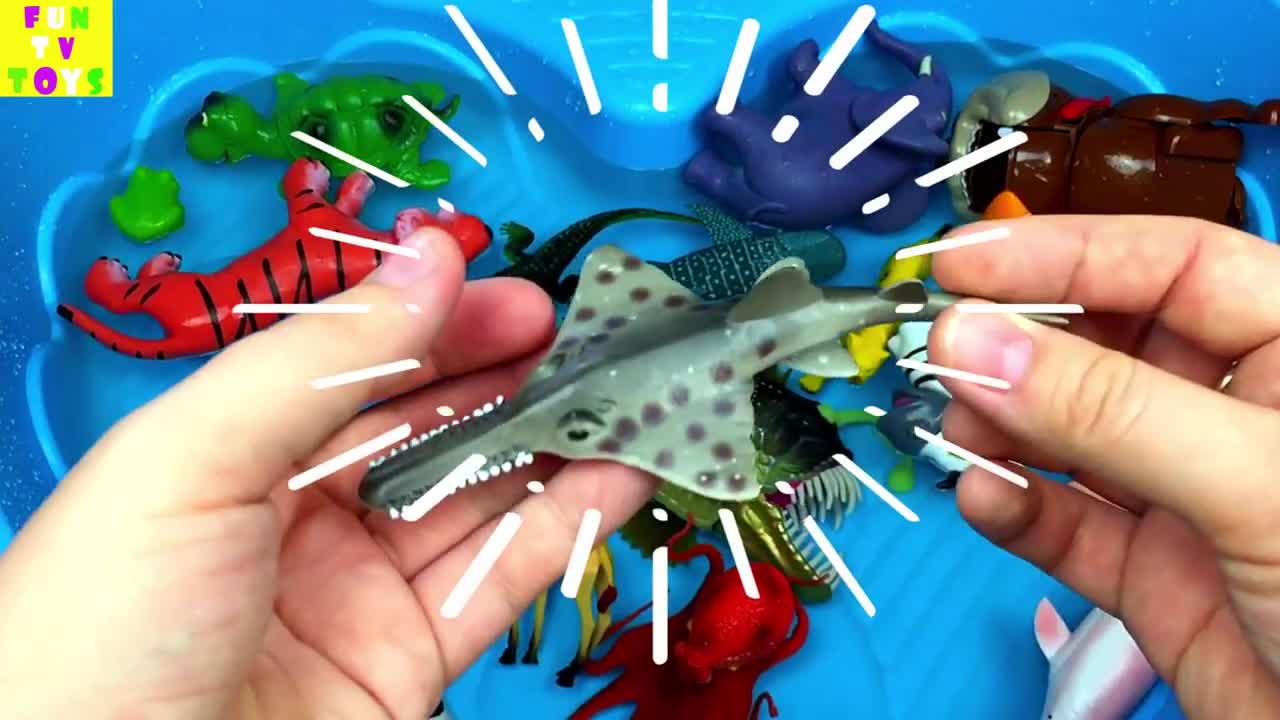 Learn Zoo Wild Animals Names Educational Toys Video For Children