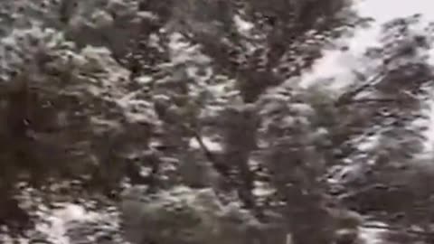 Mallorca snow fall right now