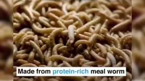 You will eat the bugs