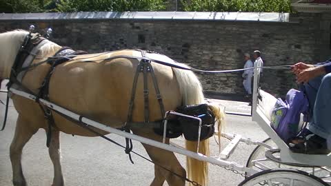 Another typical summer day in old Montreal