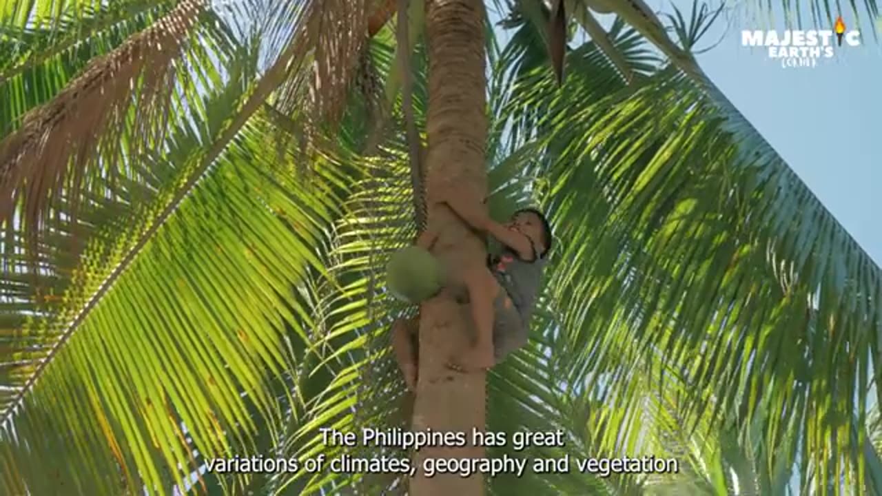 Philippines Voted as best tourist destination in 2023