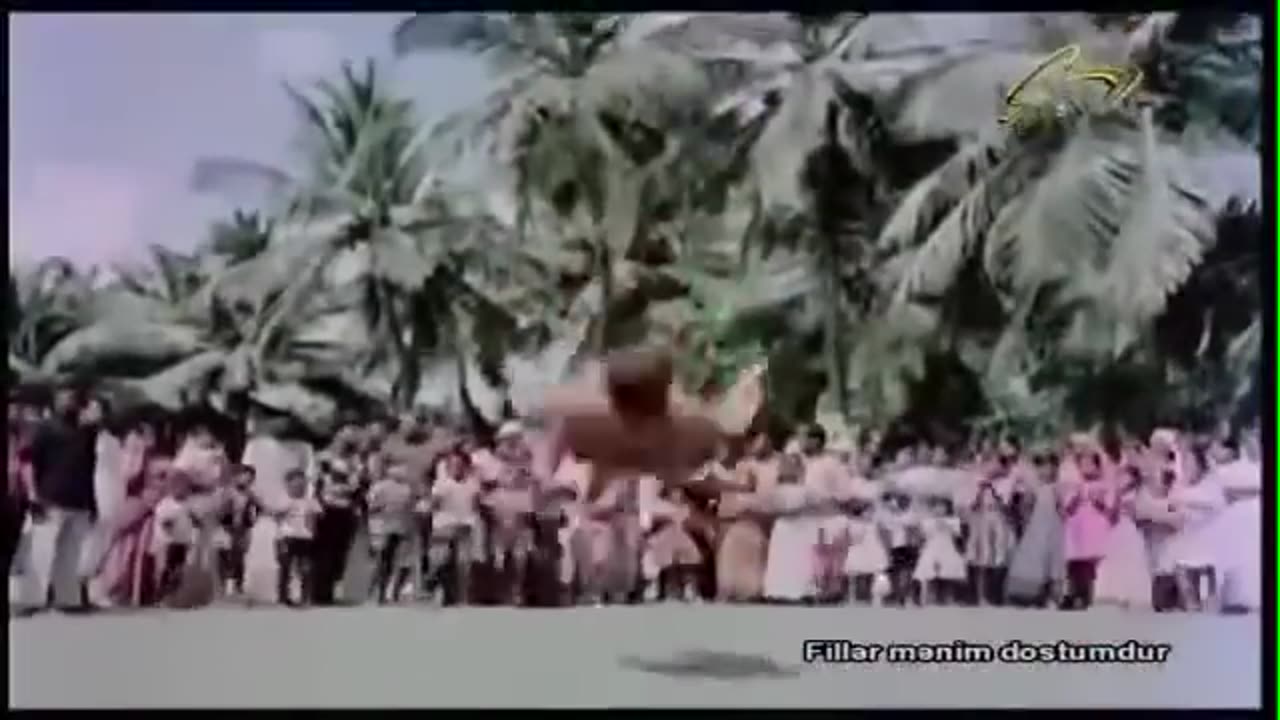 Fillər Mənim Dostumdur Filmi 1971