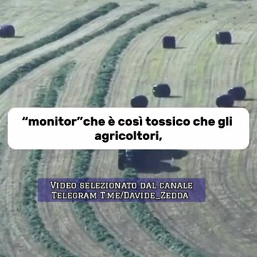 Le patatine del Mc Donald’s