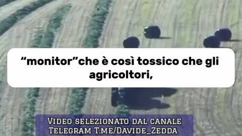 Le patatine del Mc Donald’s