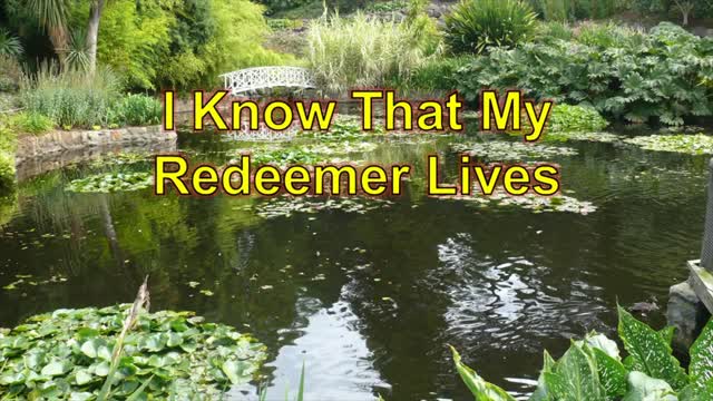 Pentecost 3 2022 Worship Service