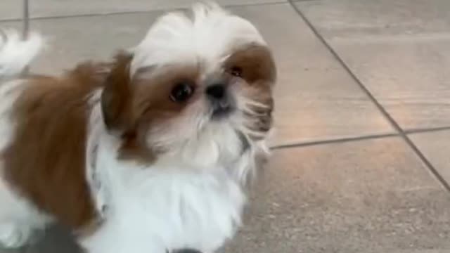 SHE'S SO CUTEEEE 😍