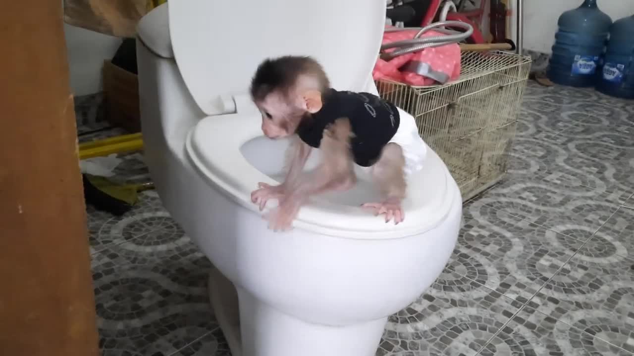 Baby paula learn and simulation how to use the toillet correctly, but the toilet is too big for her