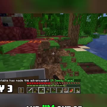 Tummy Ache Chronicles: Setting Up a Melon Farm in Record Time!