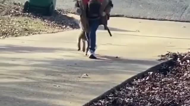 AMAZING DOG WAITED HIS BESTFRIEND COMING DOWN FROM THE BUS.mp4