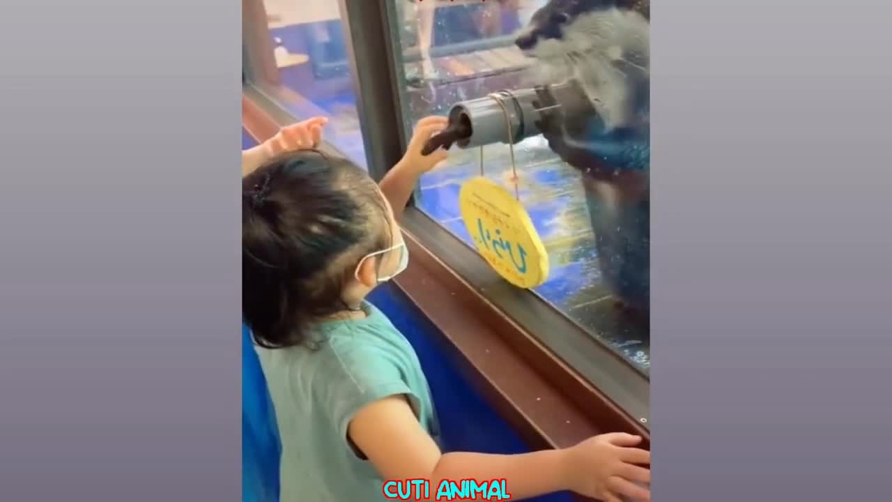 Funny animal #4