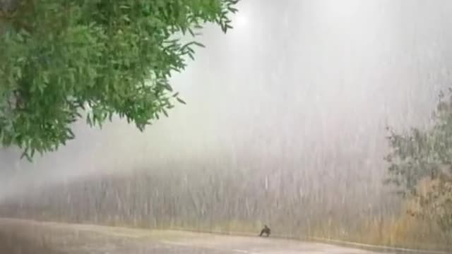 In life, one does not wait for the storm to pass, but learns to be alone in the rain
