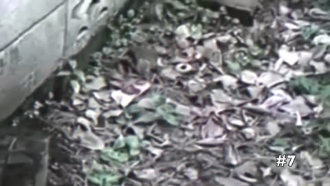 CREEPY SIGHTINGS OF LITTLE PEOPLE OF UNKNOWN ORIGIN? WHATS OUT THERE? VOL.1 #trending #reaction