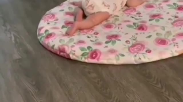 Awww so cute cat making his kitty to meet child