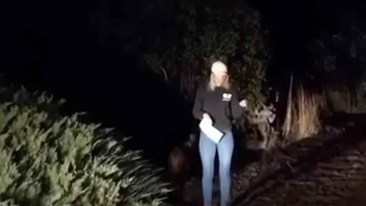 MOUNTAIN LION WALKS PAST LIVE REPORTER MISTAKES IT FOR A DOG