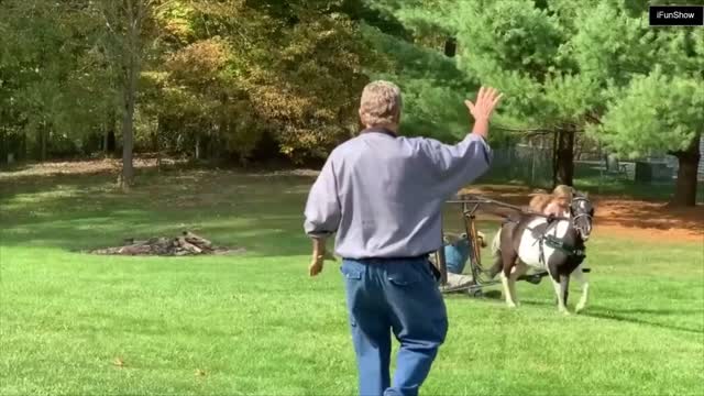 Try not to Laugh #4