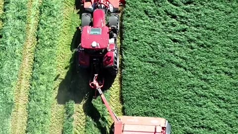 Crc vídeos curiosos