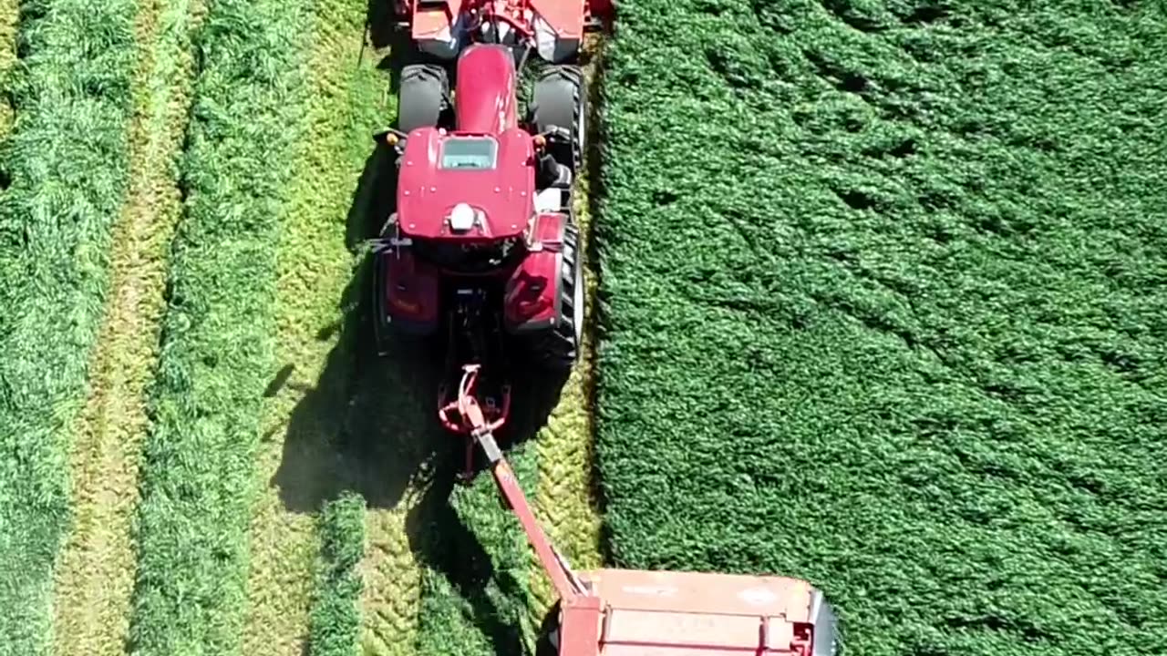 Crc vídeos curiosos