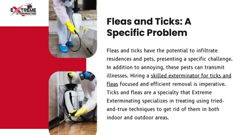 Why Professional Exterminators Are Essential