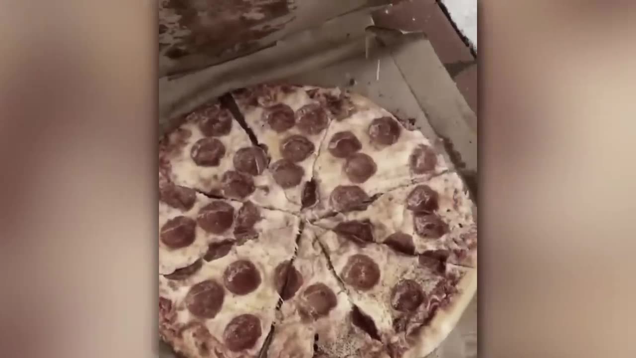 These are the dumbest idiots at work ever caught on camera.
