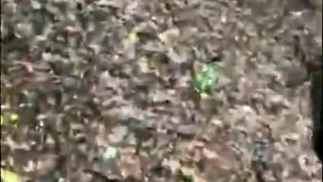 Soldiers of the Armed Forces of Ukraine showed how they take Russian soldiers prisoner
