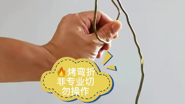 Flower Art Idea!!
