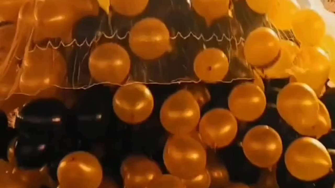 New friends videos