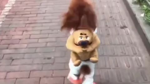 Cute dog walking through like human baby