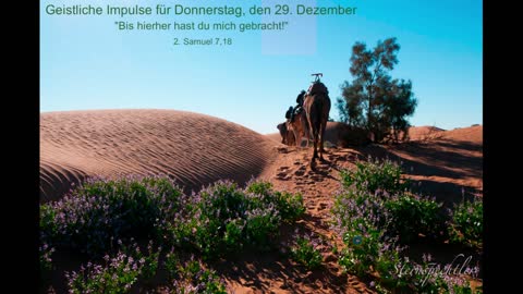 Geistliche Impulse für Donnerstag, den 29. Dezember