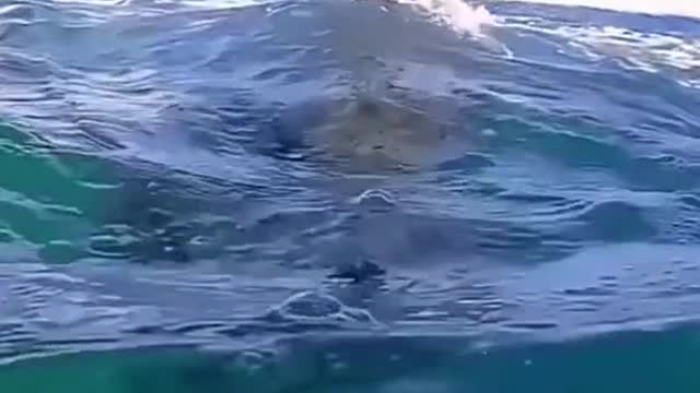 We don’t deserve them❤️