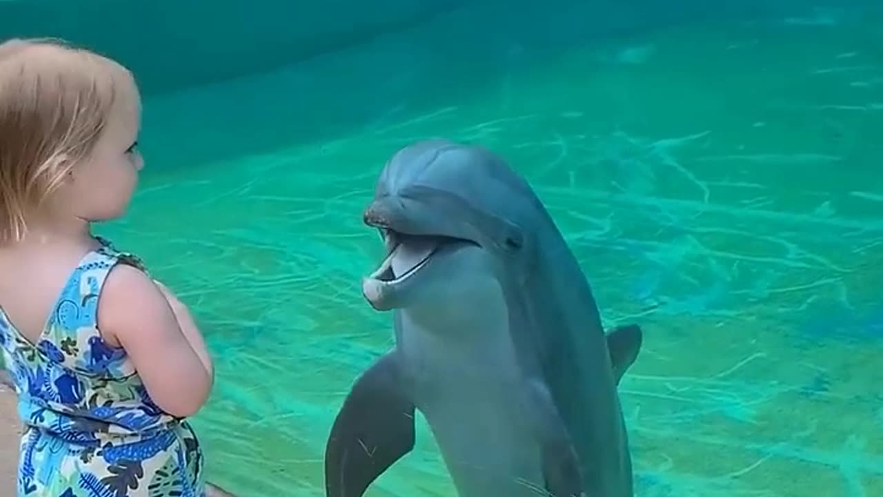 A little girl and a friendly dolphin share a sweet moment communicating without language #shorts