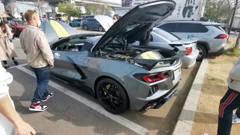 C8 Corvette