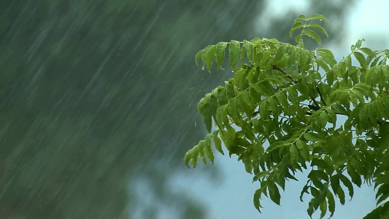 Enchant - Relaxing music with the sound of rain - Sleeping, Meditation and Deep thoughts