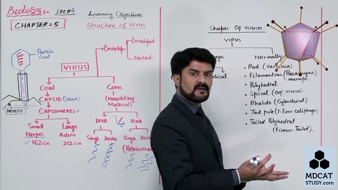 LEC#4 STRUCTURE OF VIRUSES