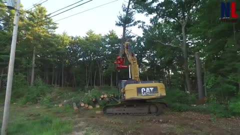 Tree cutting modern machines