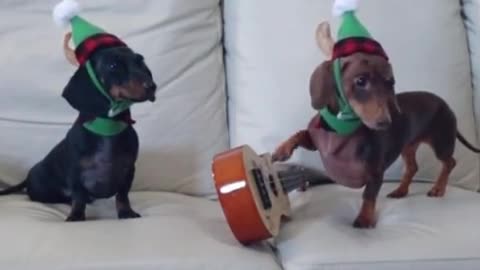 Frohe Weihnachten 🎅