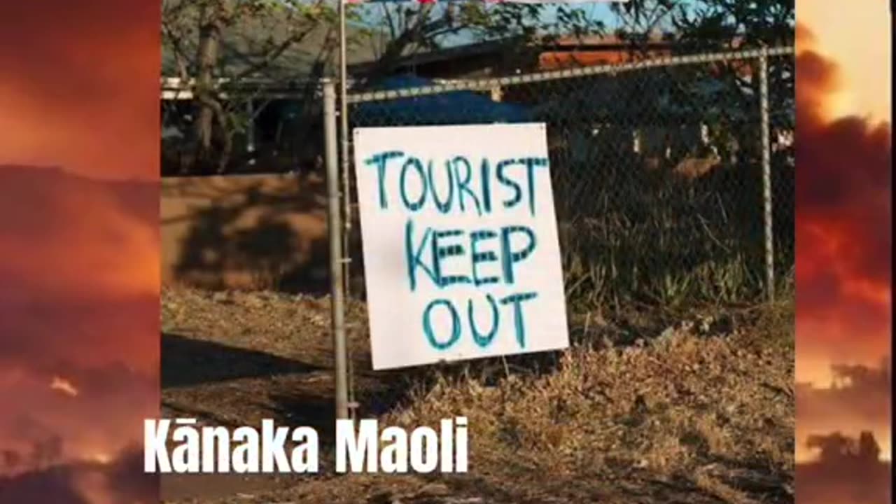 "People pulling out Skeletons from their car seats" in Maui