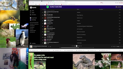 Saturday Afk News and Music