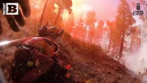 Firefighters Battling Forest Blaze Get DOUSED by Fire Retardant Dumped from Plane