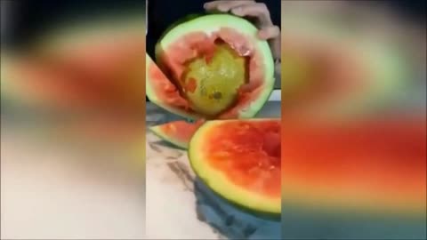 Amazing Video 7