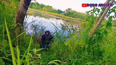 ferocious big fish fishing
