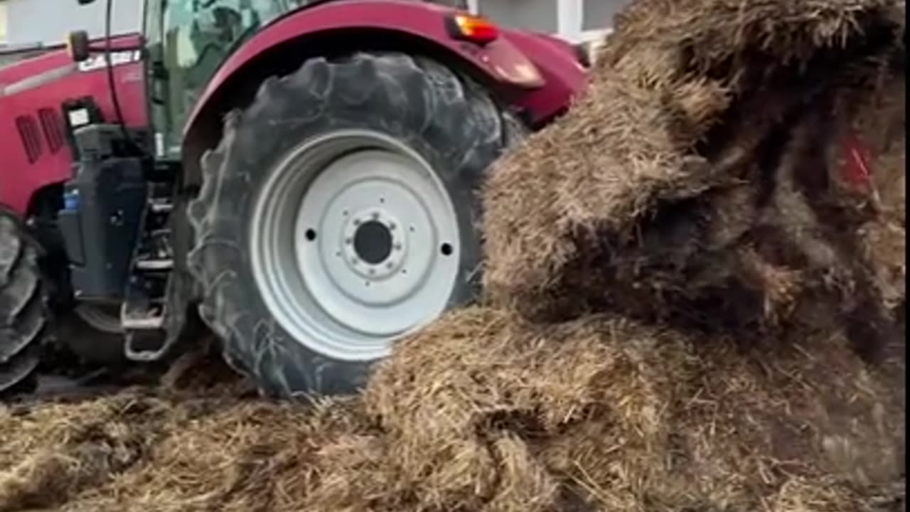 French Farmers Block The Entrance To Banque Populaire - Agen, France