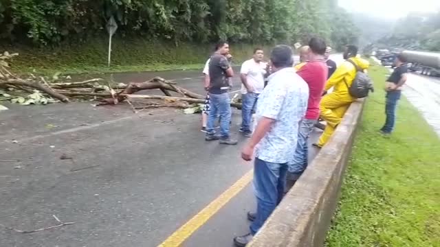 Empresas de transporte de carga piden al Gobierno nacional desbloquear la vía a Buenaventura